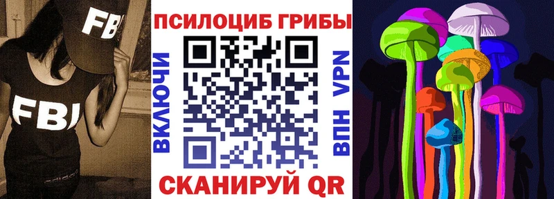 Псилоцибиновые грибы Psilocybe МЕГА сайт Новокубанск продажа наркотиков